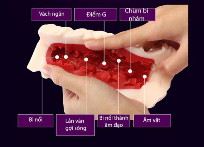 Âm đạo giả Leten ruột 3D đỏ độc đáo